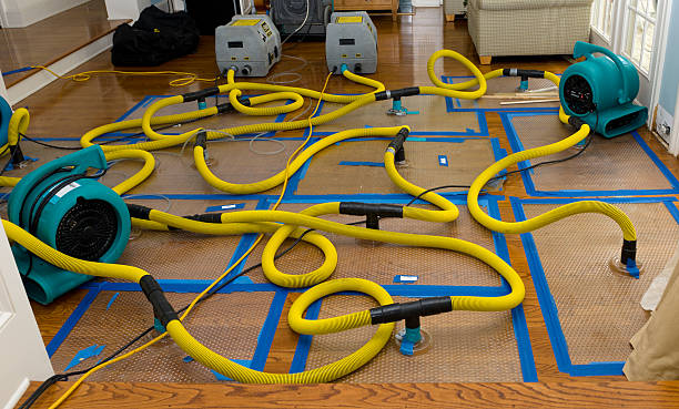 Professional Crawl Space Water Removal technician working in Walsh, IL
